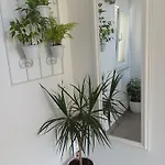 Apartment Mg Ravlic Sea View Makarska