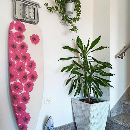 Mg Ravlic Sea View Apartman